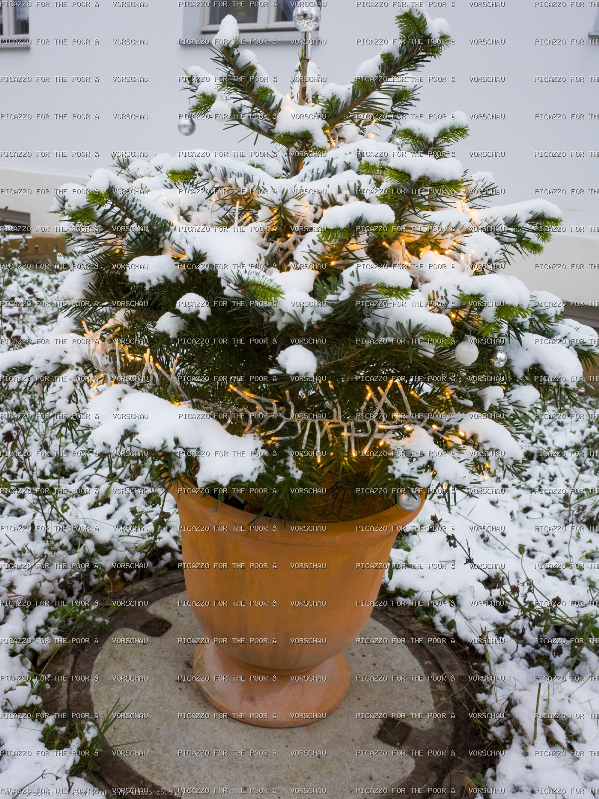 Winter im Kübel